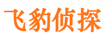 迭部外遇出轨调查取证